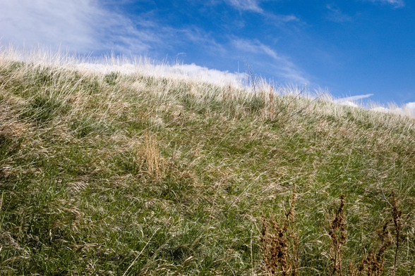 A vibrant green hillside with wild grass and a bright blue sky filled with soft clouds, capturing a serene and peaceful nature scene.