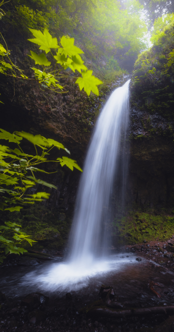 Waterfall with green leaves around