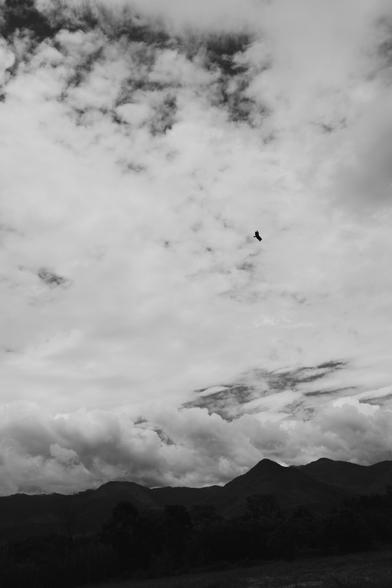 Black and white photo of a clouded landscape in Oaxaca. In the middle of the sky a Caracara falcon is circling, hunting for food.