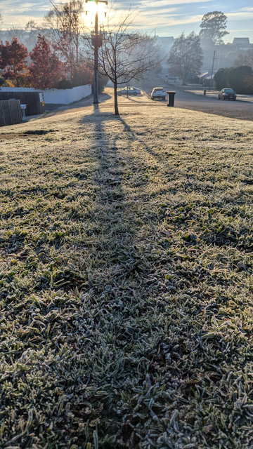 A view down the verge, with frost heavy on the grass. The low sun rising in the background.