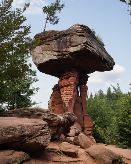 Der Teufelstisch in der Pfalz, eine Felsformation in Form eines einbeinigen Tisches