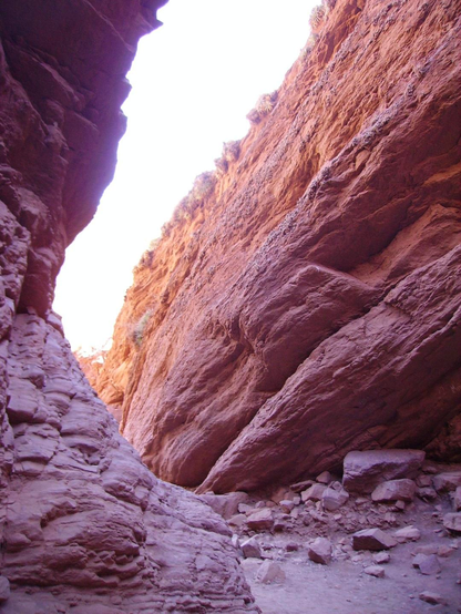 The image depicts a narrow canyon with towering rock walls on either side. The walls are composed of reddish-brown sedimentary rock, exhibiting various shades and textures, with visible layers and striations. The canyon floor is strewn with loose rocks and boulders, indicating erosion and weathering over time. The sky is visible at the top of the canyon, appearing bright and clear, suggesting a sunny day. Sparse vegetation can be seen clinging to the rock faces, adding a touch of greenery to the otherwise arid landscape. The perspective of the image is from the canyon floor, looking upwards towards the sky, emphasizing the height and grandeur of the rock formations.

Provided by @altbot, generated privately and locally using Ovis2-8B

🌱 Energy used: 0.167 Wh