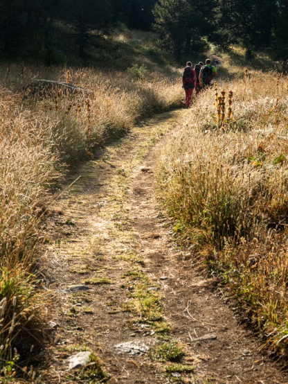 A group of three hikers walking along a pathway across a mountain meadow, the dry weed around brightened up by the late summer sun.