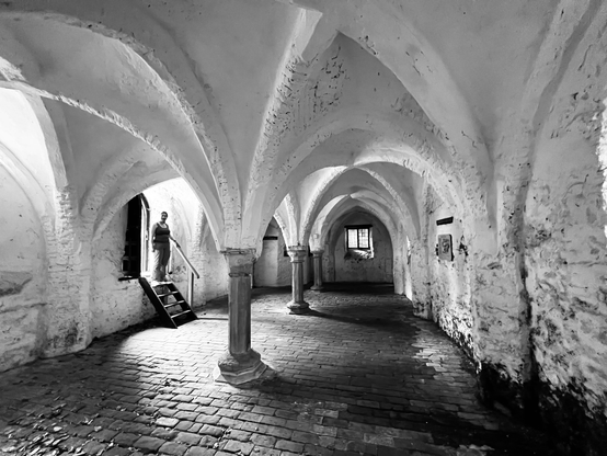 Vaulted ceiling