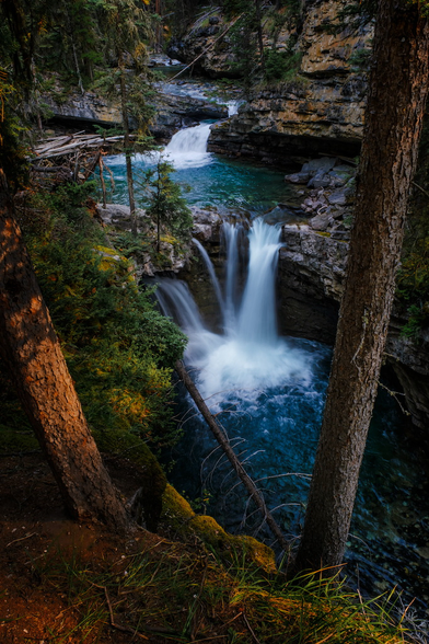 Sunrise sidelighting illuminates the coniferous forest that surrounds a mountain stream, small pools and low waterfalls in Johnston Canyon.  Banff national park, Alberta Canada