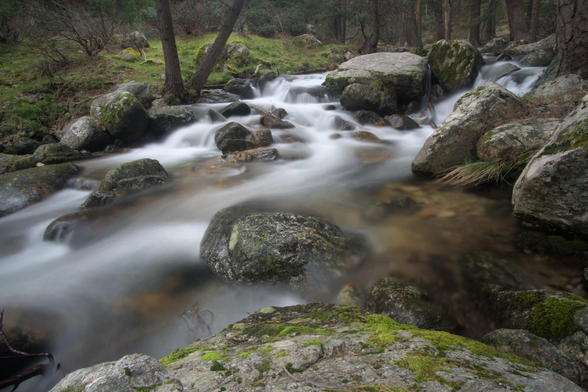 Fotografia de un río pasando por un bosque en larga exposición, de esta manera el agua queda registrada con un efecto de movimiento que le da un aspecto etéreo 