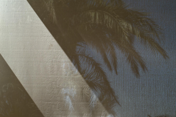 Fotografía de una palmera vista a traves de la textura de una cortina con una franja de luz atravesándola desde la esquina superior izquierda en diagonal hasta el centro, la textura le da a la imagen un efecto pixelado