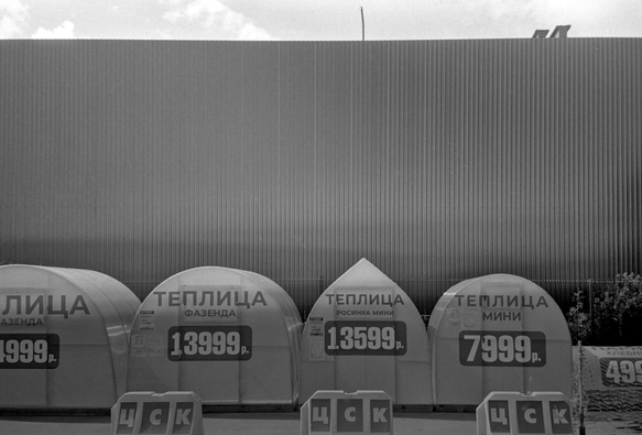 In the monochrome photo, a row of greenhouses against the high dark wall of the hangar.