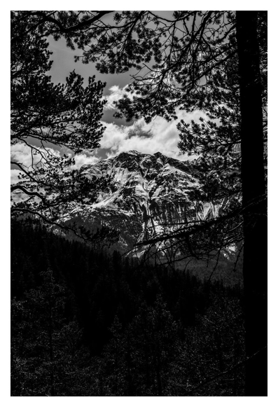Schwarz-weiß Foto im Hochformat. Blick durch Äste auf ein hohes Gebirge. Darauf liegt teilweise Schnee. Dahinter sind Wolken. Das Bild ist sehr kontrastreich, Bäume, Äste und Berg ist schwarz, Schnee und Wolken sind weiß.