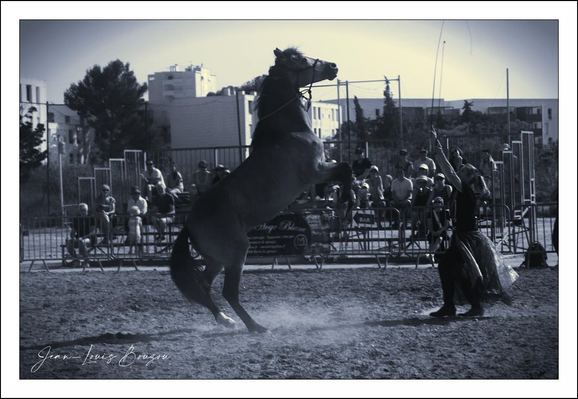 A grayscale image of a horse performing a trick, likely rearing up, in a large outdoor arena. 
The horse is centered in the image, its legs and body lifted in the air. A person, positioned in the foreground, appears to be guiding the horse with a long, thin object (likely a whip or rein). This person is dressed in dark clothing and a skirt that creates a visible silhouette. 
A large group of spectators is seated beyond the horse and performer, behind a metal barrier. The spectators are visible as silhouettes. 
The surrounding area depicts buildings behind the arena, with trees and a cityscape visible in the mid-ground. The ground is a light gray/tan color, suggesting it is an outdoor, sandy surface. Dust or a light cloud is visible around the horse's feet from the effort of the rearing.