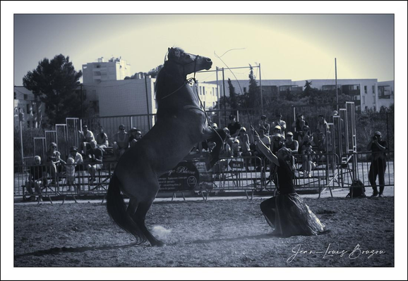 A dark-gray horse is rearing up in the air, its front legs lifted high. A person clad in dark clothing is gripping a long rope or whip, directing the horse's movements. Spectators are seated in bleachers behind metal fencing surrounding an outdoor arena. The scene is monochromatic, a muted blue/gray tone, with buildings and trees in the background. The ground is a light-gray dirt/sand texture. 