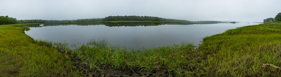The cove is like glass. Reflecting the trees and marsh. Fog shrouds the distance.
© Tom Goetz. All rights reserved. Training an AI on this image is expressly forbidden.