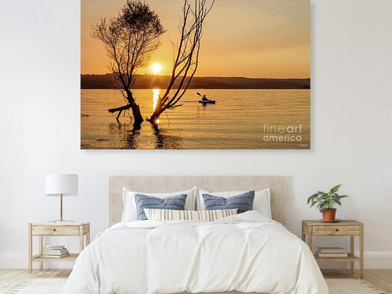 Cool! My golden morning sunrise photo with a guy on a kayak on Table Rock Lake won 1st place in a Summer Contest @fineartamerica and is now the cover image for the Midwest America Photography Group
Contest: https://fineartamerica.com/contests/9-summer-logo-for-the-midwest-america-photography-group.html?tab=leaderboard  
Group: https://fineartamerica.com/groups/midwest-america-photography.html?tab=overview
Image: https://fineartamerica.com/groups/midwest-america-photography.html?tab=overview
#photography #fineart #wallart #artforsale