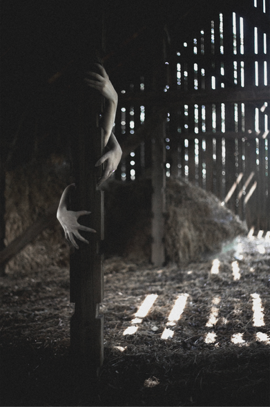 Three hands peeking out from behind a beam in a barn