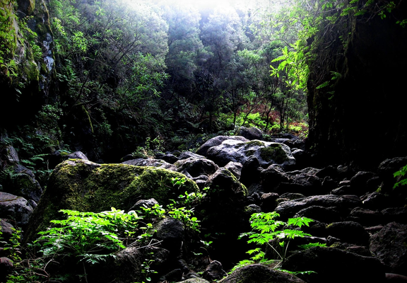 In einer schmalen Schlucht mit einem breiten Bachlauf liegen dicke Findlinge auf der Sohle. Teils von Moos und Farn überwachsen. An den Seiten ragen Felswände senkrecht in die Höhe und gehen in dichten Lorbeerwald über. Sonnenlicht dringt von oben hinein und lässt das Chlorophyll der Pflanzen grün leuchten. 
