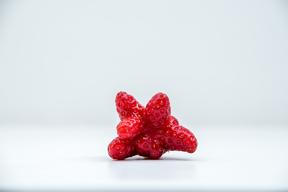 Eine rote Erdbeere in weißer Umgebung. Die Erdbeere sieht aus wie eine kleine Explosion. "Finger" sind in alle Richtungen gewachsen.