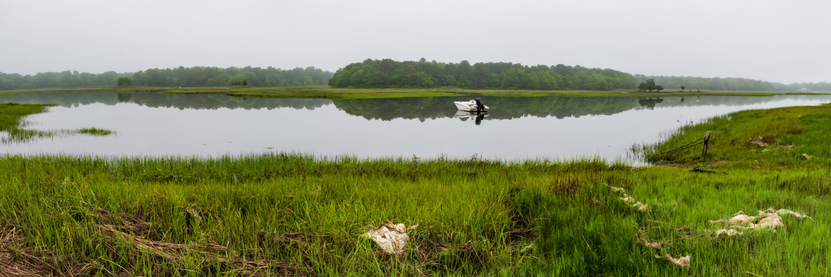 The cove is like glass. Reflecting the trees and marsh. Fog shrouds the distance.
© Tom Goetz. All rights reserved. Training an AI on this image is expressly forbidden.