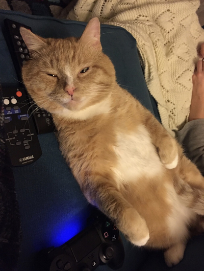 A ginger cat lies stretched out on its back on a blue couch, looking relaxed with half-closed eyes. The cat's belly is exposed, and its paws are curled on its chest, indicating comfort and contentment.