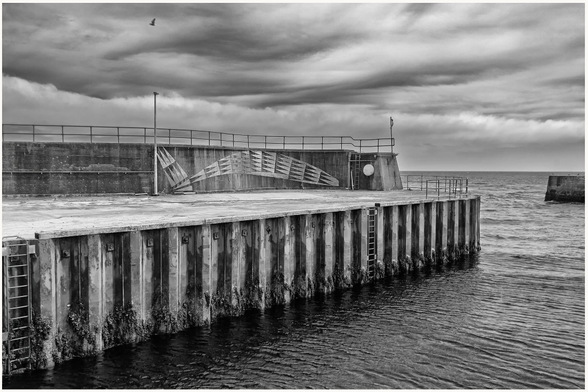 A black and white image of a pier with a concrete wall and a ladder leading into the water. The sky is overcast, and a bird is seen flying above the water in the distance.