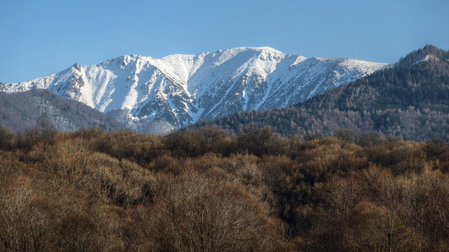 Photo of a high, blueish-looking rocky mountain ridge with snow on top of it lit by the sun. The lower parts are obscured by multiple smaller hills covered by forests of brown trees without leaves. The sky is cloudless and blue.