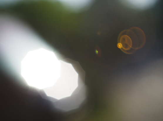 Abstract colour picture of nice Bokeh and sunflairs