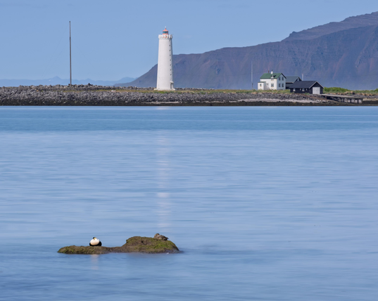 Grotta lighthouse on a sunny day.  The sea is calm and two ducks are sleeping on a little rock in the sea.
