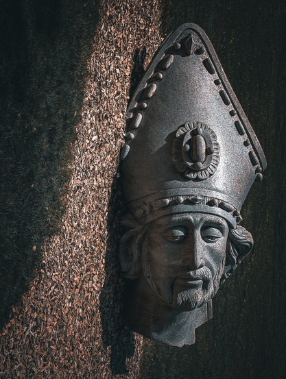 A stone carving of the head of St. Blasius, with visible pores and slight imperfections that add to its character. 

To confuse the unimaginative, this photo has been rotated 90 degrees.
