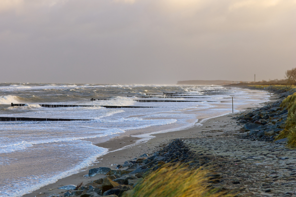 Der Betrachter steht auf einem mit Steinen bewehrten Deich, der mit Strandhafer bewachsen ist. Auf der linken Seite ist die Ostsee zu sehen, deren Wellen weiße Schaumkronen tragen und an den Buhnenreihen brechen. Die Luft ist trübe von Sand und Wassertröpfchen. Der Strand ist zum Teil überspült. Das Licht ist fahl.