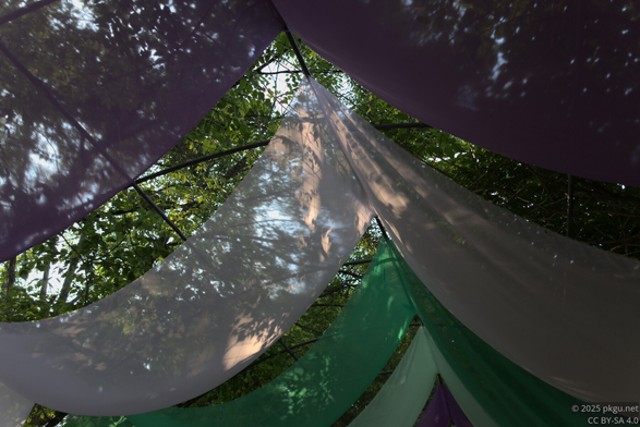The ceiling drape under the trees, bathed in the sunlight. Boramae park, Seoul, Korea.