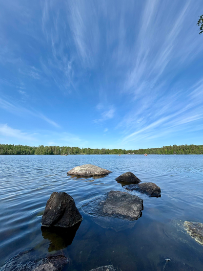Photo of the lake shore