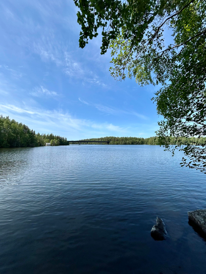 Photo of the lake shore
