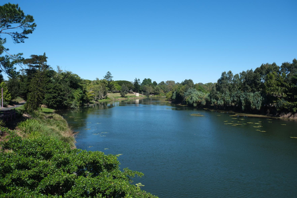 Photo of a river flanked by green trees. It is sunny and the sky is blue.