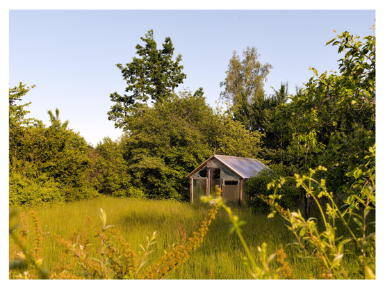 En liggande bild på ett slitet, lite trasigt växthus omgivet av grönska i form av gräs, buskar och träd. Himmelen molnfri och blå.