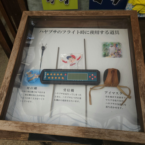 webpage.1219962218.jpg