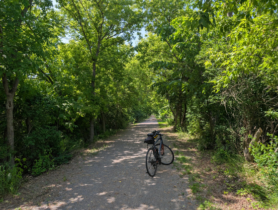 Bicycle on a trail through a green forest