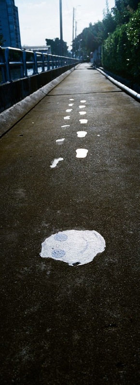 EN: Panoramic vertical color photo of a walkway by the canal on the left. On the walkway, in the foreground and centered, there is a sticker of a smiley. Other stickers of steps are going away from the smiley

FR: photo panoramique en couleur, format portrait, du chemin au bord du canal (à gauche). Un vieux sticker de smiley un peu décollé est au centre de la photo, au premier plan, sur le chemin. D'autres stickers de pas s'en éloignent dans la perspective