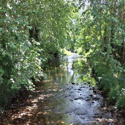 The image depicts a serene stream flowing through a lush, green forest. The water is clear and shallow, with visible rocks and pebbles scattered along the bottom. The stream is flanked by dense vegetation, including trees with broad leaves and shrubs, creating a natural canopy overhead. Sunlight filters through the leaves, casting dappled shadows on the water's surface and the surrounding foliage. The scene is tranquil, with no visible human activity or structures, emphasizing the natural beauty of the environment. The overall color palette is dominated by various shades of green, with the brown of the water and rocks adding contrast.

Provided by @altbot, generated privately and locally using Ovis2-8B

🌱 Energy used: 0.151 Wh