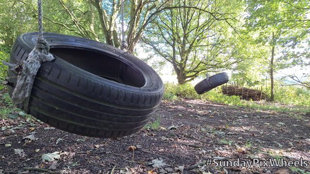 We are in a sunny wood, close to the ground. Two car tyres have been hung from the trees as makeshift swings, one close to camera on the left. Beneath our feet are packed earth and a few fallen leaves. 