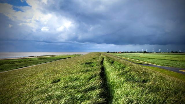 Auf der Deichkrone zieht sich ein Pfad platt getretenen Grases Richtung Horizont. Rechts und links wiegt sich das lange Gras im starken Nordseewind. Am Himmel dunkle Wolken. Dennoch erleuchten Sonnenstrahlen die Umgebung. 