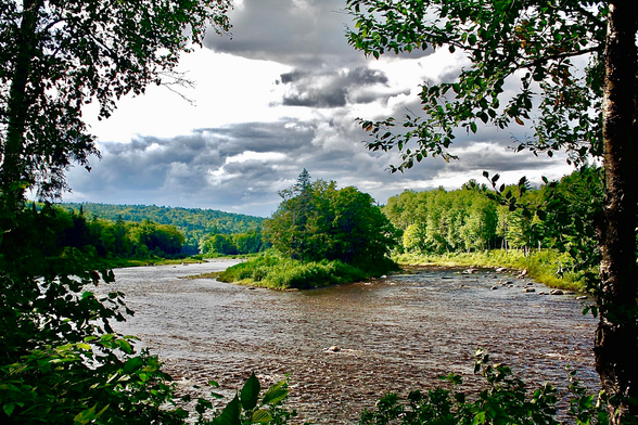 View through the trees towards the wide, shallow waters of the Miramichi River. In the centre of the image a treed river island can be seen. Rainclouds dominate the late-summer sky.