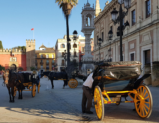 Horse carriages waiting for tourists in the city center of Seville - Spain. 
