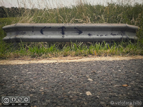 Eine Leitplanke mit Graffiti. Im Vordergrund ein Stück der Strasse, hinter der Leitplanke sind hohe Gräser und etwas Wald.