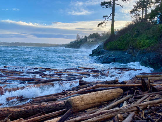 Along rocky coastline the wind drives the ocean up the Clift side. Churning of logs along the beach.