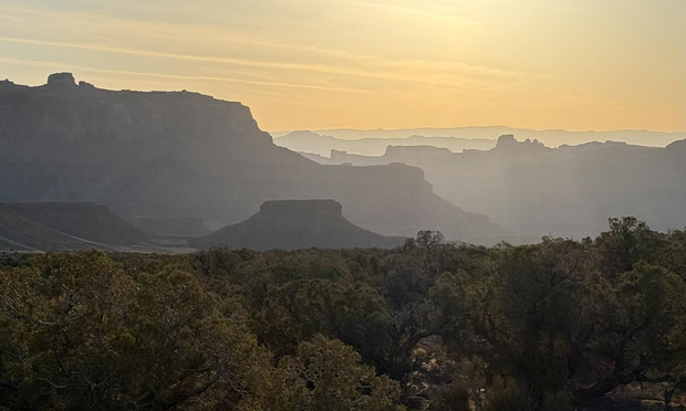 Landscape photo of trees in foreground and layers of diffused buttes and cliffs under a slightly cloudy sky.