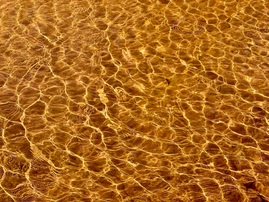 Golden ripples in water