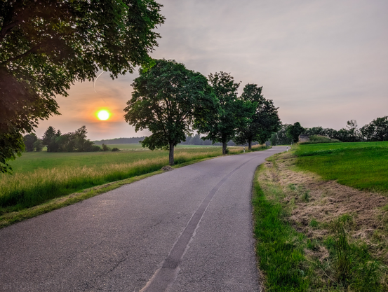 A serene country road at sunset. The sun, a bright yellow-orange orb, is prominent on the left side of the frame, casting a warm glow over the scene and creating a subtle lens flare. The road itself is asphalt, curving gently from the foreground towards the right side of the image and disappearing into the distance. It has a single white line marking its center. A row of mature trees with lush green foliage stands along the left side of the road, their leaves catching the soft sunlight.