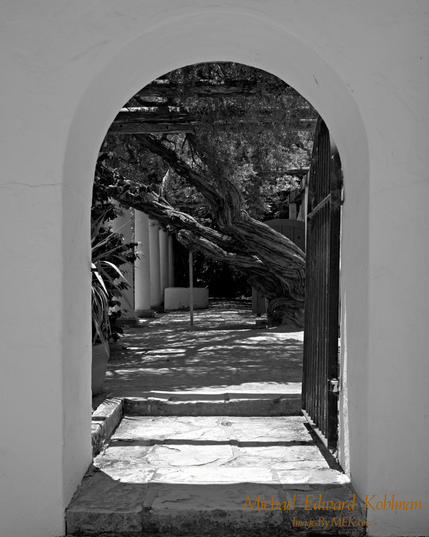 Black and White Photo of a Monterey Cypress Tree visible though an arched gateway in the Memory Garden at the Monterey State Historic Park.

Monterey, Californina. June 14th, 2025