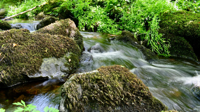 Mossy rocks and stream 
