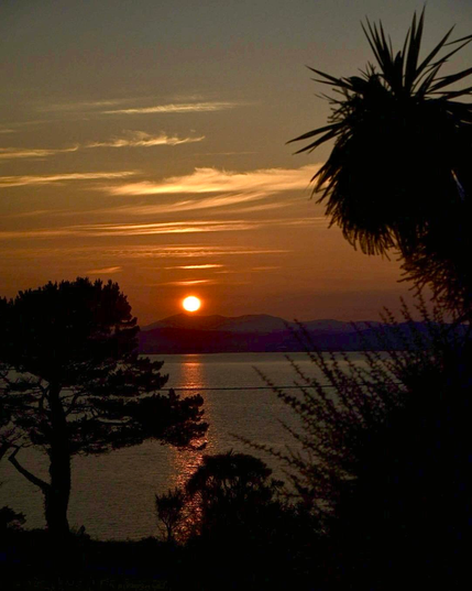 View of the sun setting behind  Knockmealdown mountain over Dungarvan Bay viewed from Helvick looking north west on June 15th. 

The picture is deliberately exposed mostly on the sun’s disk, resulting in a very dark scene with a deep orange sun that is just below a stack of faint wispy clouds in a rapidly darkening sky. The sun is just about to pass behind the distant mountains across the bay and is reflected in a long orange stripe that crosses the entire bay. 

Some trees and a Cordalyne Australensis silhouette frame the foreground. 