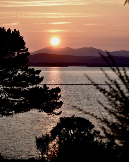 View of the sun setting behind  Knockmealdown mountain over Dungarvan Bay viewed from Helvick looking north west on June 15th. 

The picture is exposed mostly on the sky and water, giving a  scene with aa slightly overexposed sun in an orange sky below some faint wispy clouds. The sun is just about to pass behind the distant mountains across the bay and is reflected in a long orange stripe that crosses the entire bay. 

Some trees and a Cordalyne Australensis silhouette frame the foreground. 